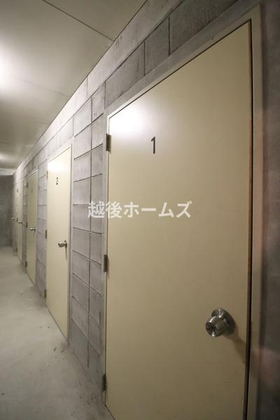 ̑p gN[