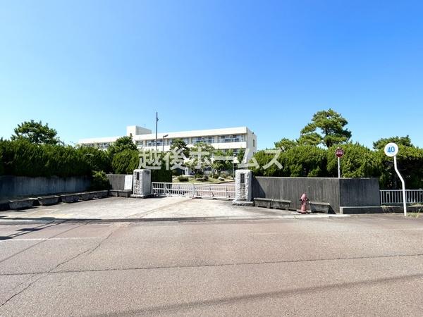 ӊ ywZzsgckwZF1135m