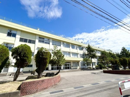 ӊ ywZzVs]؏wZF1168m