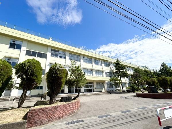 ӊ ywZzVs]؏wZF1168m