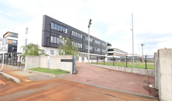 ӊ ywZzOs쏬wZF1333m