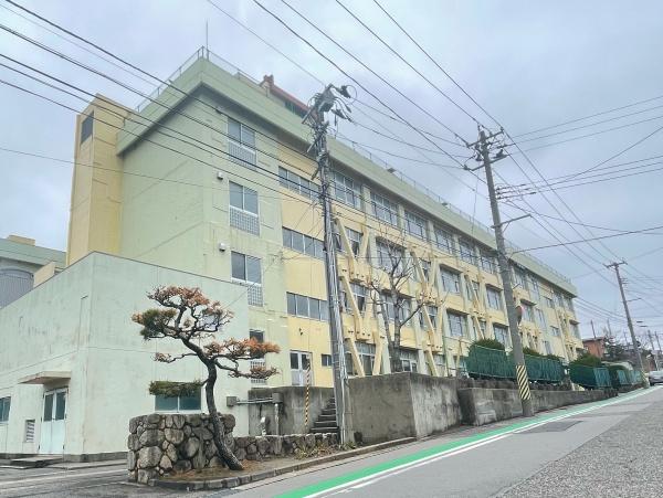 ӊ ywZzVslwZF1319m