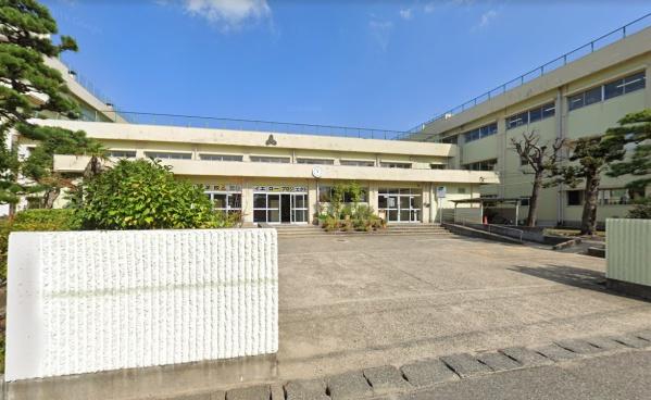 ӊ ywZzVsΎRwZF1142m