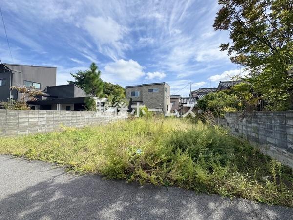 ̑n yEjEłwł܂I ̕CɂȂ́ACyɂ⍇I