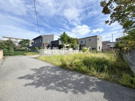 OʓH܂ތnʐ^ ̓ʕEdlݔ₨̑傫̔rAߗׁEӊ⒬݂ȂǁAł͂킩Ȃ񂪂񂠂܂B񌻒nɂĂmFB