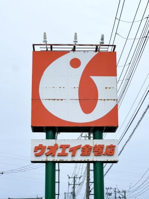 ӊ yX[p[zEIGCXF1864m