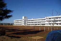 ӊ ywZzVs{ˏwZF343m