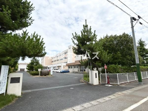 ӊ ywZzVs{˒wZF400m