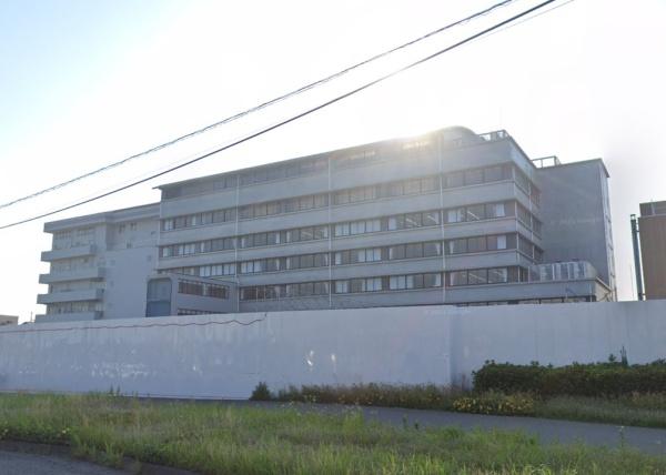 ӊ ywZzVꒆwZF775m