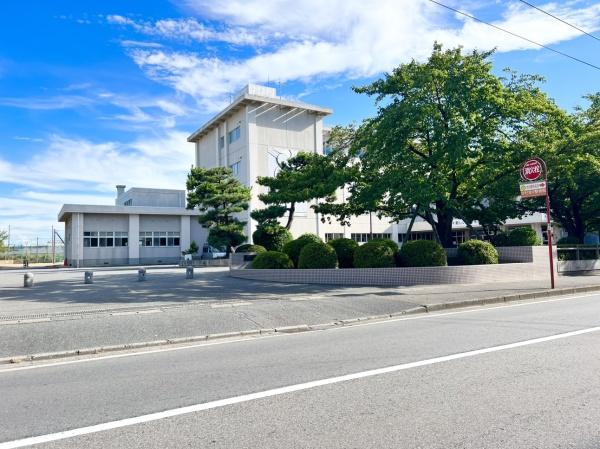 ӊ ywZzVs|RwZF1312m