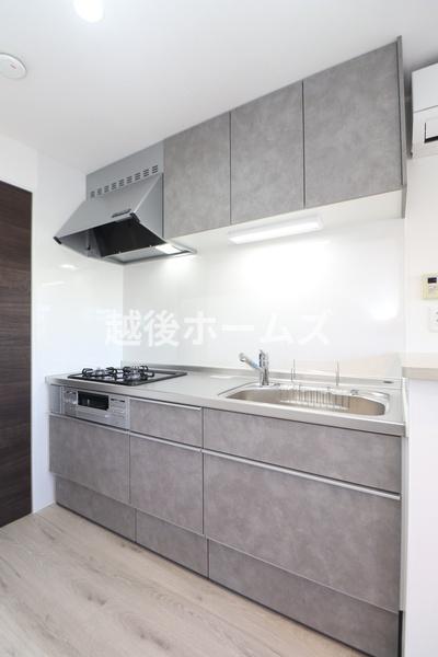 Lb` Lb`͎g₷VXeLb`łB
򐅊̌^̐WĂ܂B