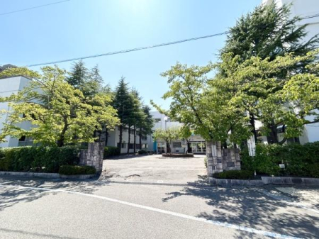 ӊ ywZzVsVwZF1379m