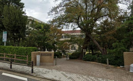 ӊ ywZzVs񋏒wZF756m