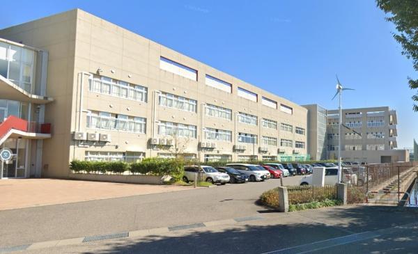 ӊ ywZzOsm،ˏwZF1663m