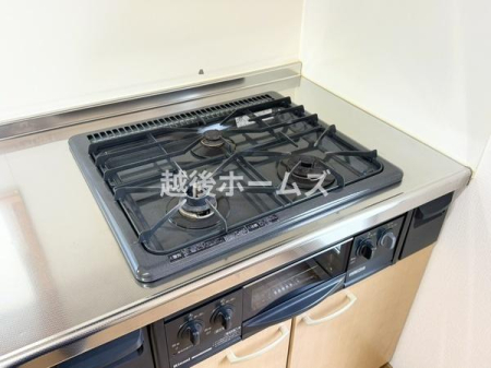 ���̑� �O���R����