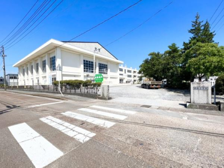 ӊ ywZzٓswZF2157m