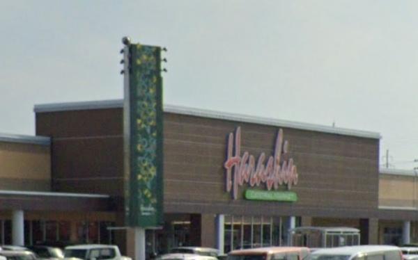 ӊ yX[p[zM͓nXF1072m