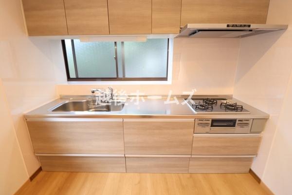 Lb` Lb`͎g₷VXeLb`łB
򐅊̌^̐WĂ܂B