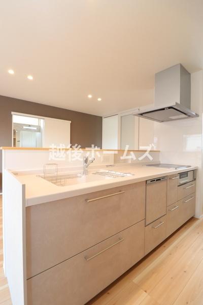 �L�b�`�� �y���Ў{�H��z�R���^�C�v�̃V�X�e���L�b�`���͎��[���L�x�I
�����̂��|�������₷���݌v�ɂȂ��Ă��܂�