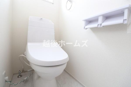 �g�C�� �y���Ў{�H����z���������E���K�ȉ��������g�C��
