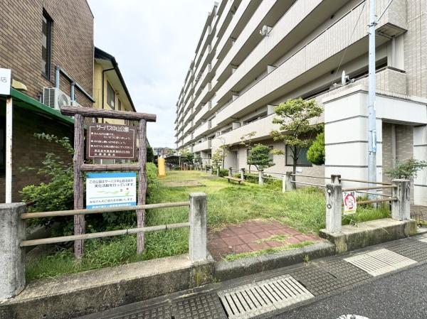 ���̑� �~�n���ɗV��̂���������������܂��B