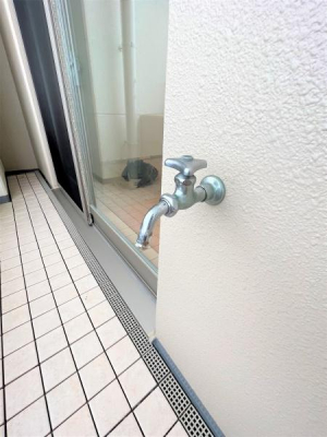 �o���R�j�[ -