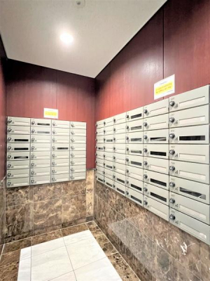 ���̑����p�� -