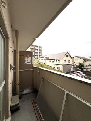 �o���R�j�[ �y�P����{���t�H�[�������\��z