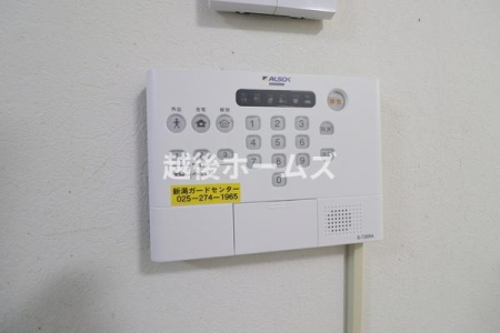 ���̑� �y�P����{���t�H�[�������\��z