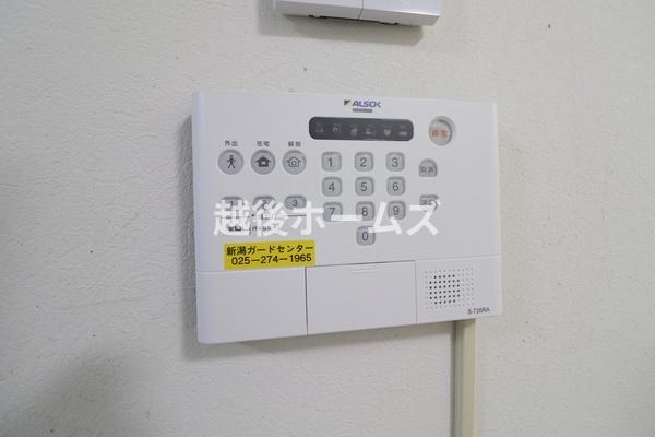 ���̑� �y�P����{���t�H�[�������\��z