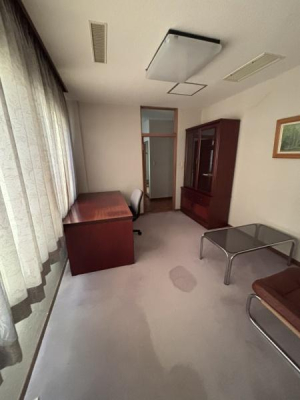 ���̑����� -