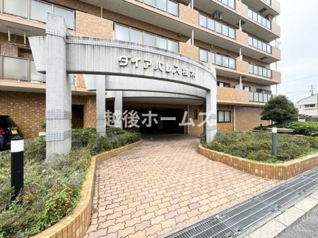 �G���g�����X -