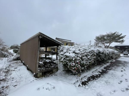 ���n�y�n�ʐ^ -