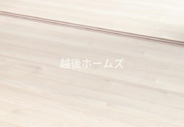 �����v������i�p�[�X�E���ρj �y���Ў{�H��z���ւ�o���R�j�[�̏o�����������A�a���̕~���◁���Ȃǂ̒i���̂Ȃ��t���t���b�g�݌v�I�|���̂��₷���⎺����Ԃ̊J���������łȂ��A�Z����̈��S���̌���ɂ��Ȃ�܂��B