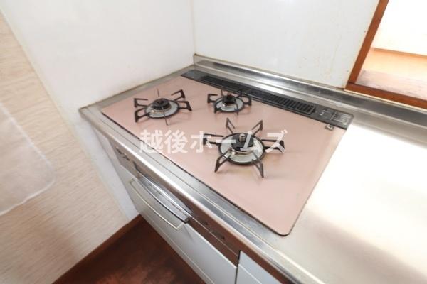 ���̑� �������͂��ǂ�R���K�X�R�����ł��B