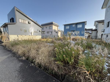 ���n�y�n�ʐ^ -