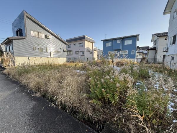 ���n�y�n�ʐ^ -