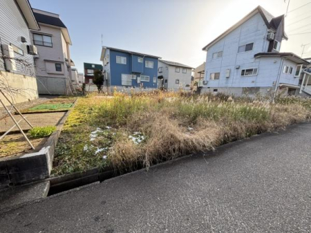 ���n�y�n�ʐ^ -