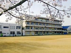 ���ӊ� �y���w�Z�z�V���s���T�c�����w�Z�F708m