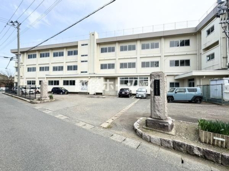 ���ӊ� �y���w�Z�z�V���s���V�Ñ�񏬊w�Z�F482m