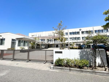 ���ӊ� �y���w�Z�z�V���s���������w�Z�F360m