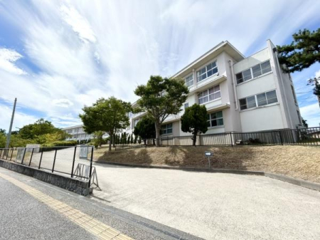 ���ӊ� �y���w�Z�z�����V�����S���q���w�Z�F255m