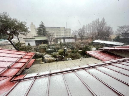 �Z�˂���̒��]�ʐ^ -