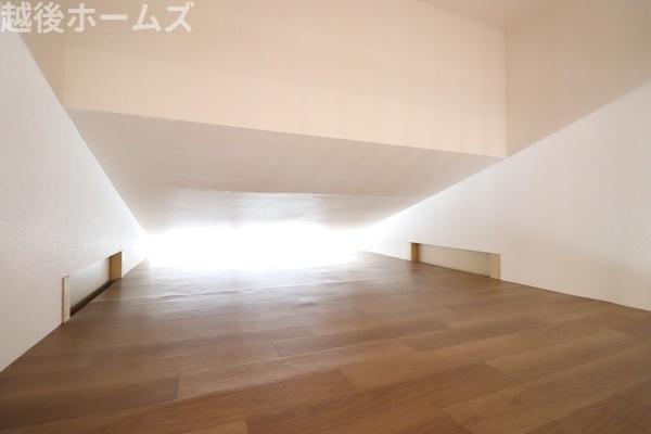 ���̑����� ���������[