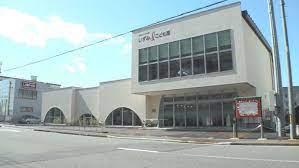 ���ӊ� �y�c�t���E�ۈ牀�z�c�ۘA�g�^�F�肱�ǂ���������I�A�C���ǂ����F441m