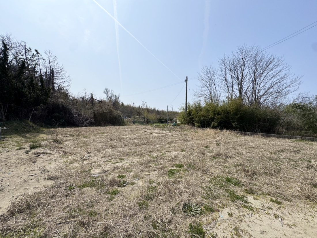 ���n�y�n�ʐ^ -