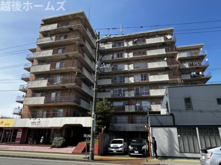 ���̑����n �y���E�j���E�������ł����w�ł��܂��I ���̕������C�ɂȂ���́A���C�y�ɂ��⍇���������I