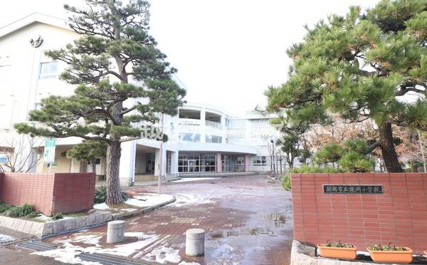 ���ӊ� �y���w�Z�z�V���s���������w�Z�F556m