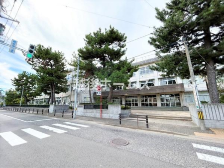 ���ӊ� �y���w�Z�z�V���s���l�Y���w�Z�F731m