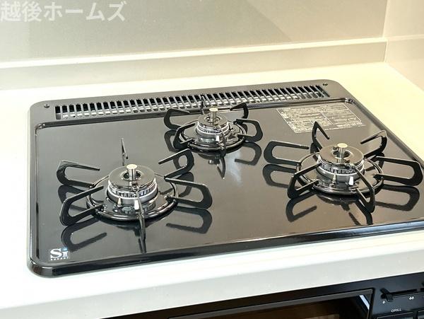 ���̑� �������͂��ǂ�R���K�X�R�����ł��B